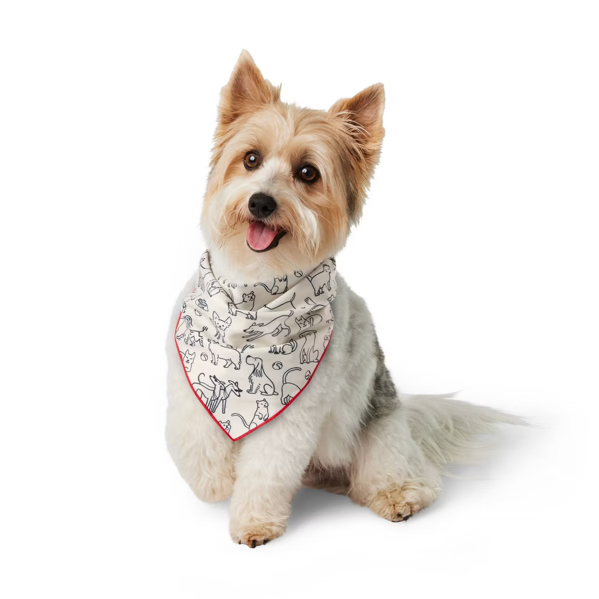 Graphic Print Dog and Cat Bandana - Cream - The Cuddle Collab | Target