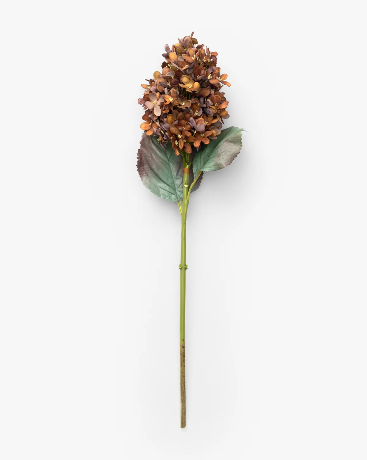 23" Burgundy Cone Hydrangea | McGee & Co. (US)