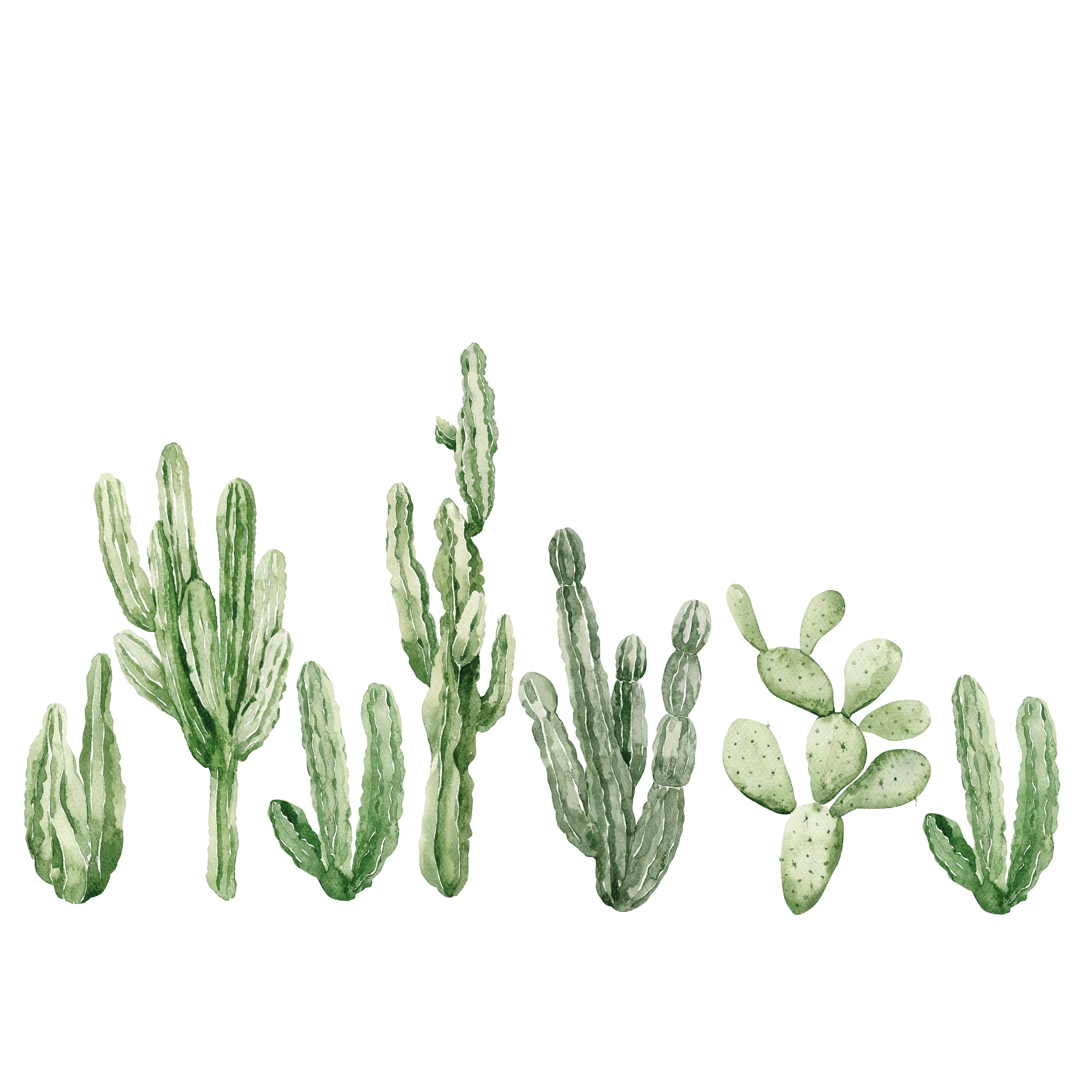 Deserted Cactus Dream Wall Decal Set | Project Nursery