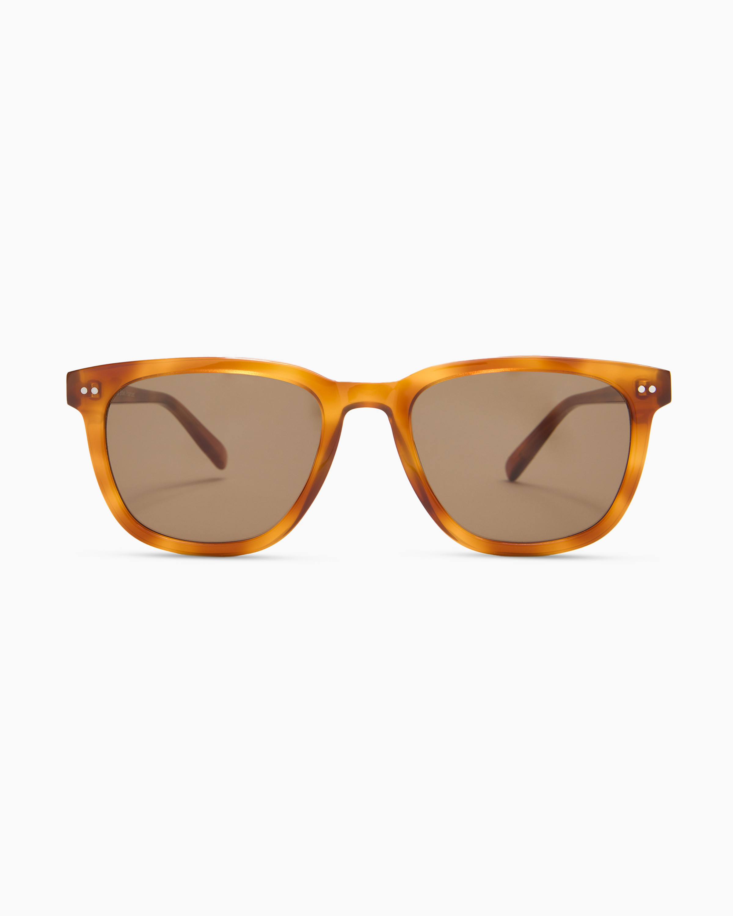 Quince | Athens Polarized Acetate Sunglasses in Clear Brown with Brown lens, Size Standard, Cellulose Acetate | Quince