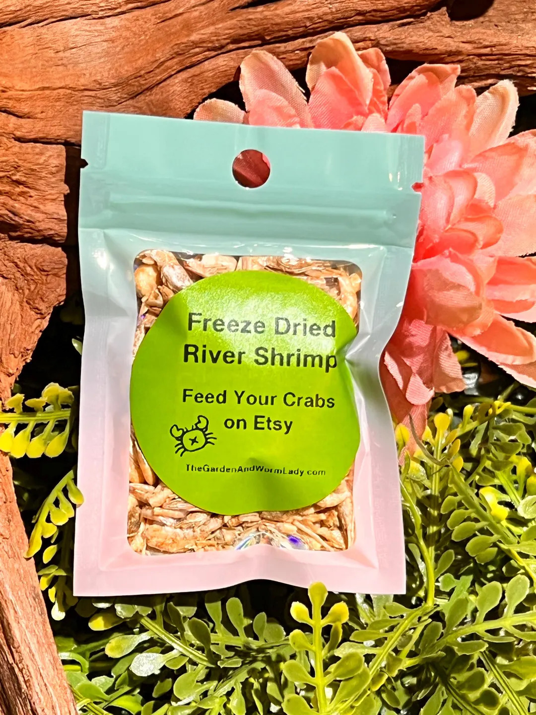 Freeze Dried River Shrimp: Hermit Crab Protein Treat - Etsy | Etsy (US)