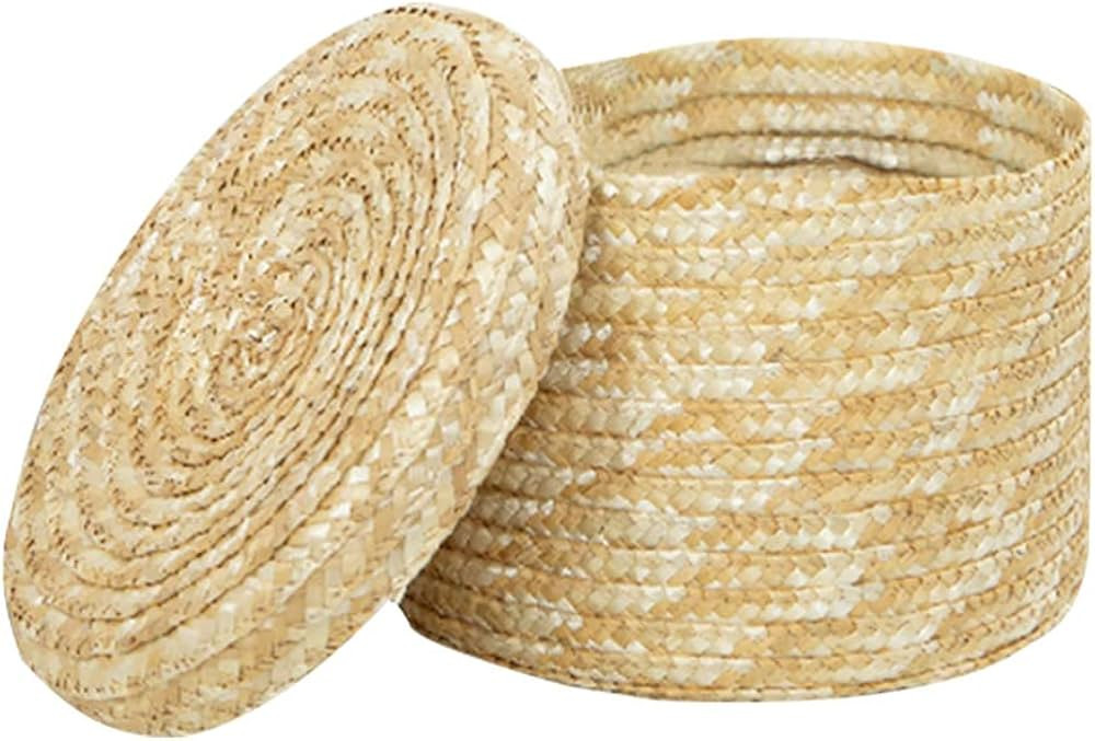 Cabilock Mini Straw Hand Woven Storage Baskets with Lids Round Seagrass Box Desktop Organizer Bas... | Amazon (US)