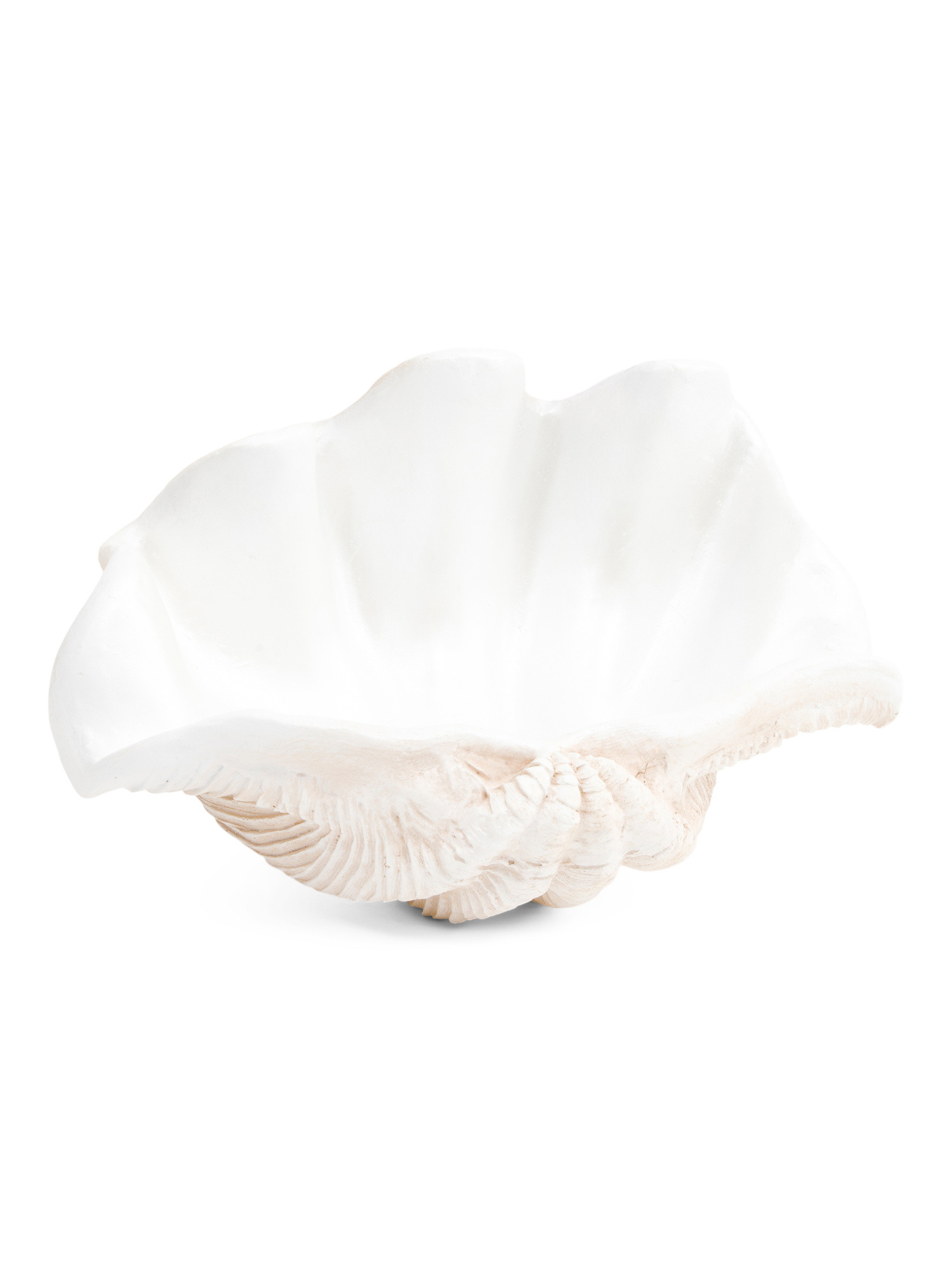 16in Pearlized Clam Shell Decorative Bowl | TJ Maxx