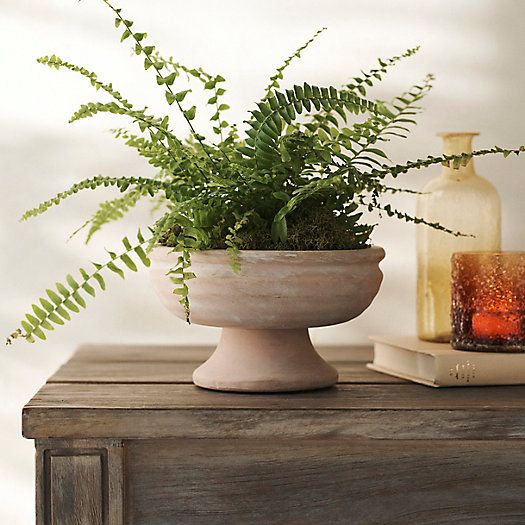 Wide Bowl Urn Planter | Terrain