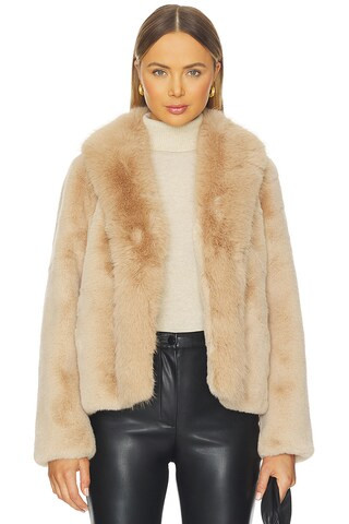 ROPA DE CALLE DASHA from Revolve.com | Revolve Clothing (Global)