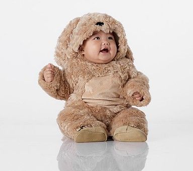 Baby Dog Halloween Costume | Pottery Barn Kids