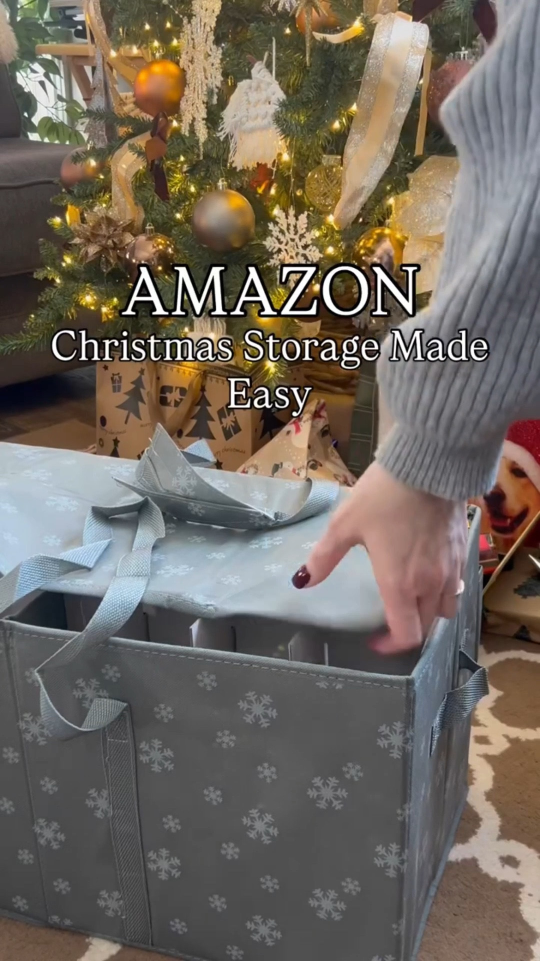 This is your sign to get organized this Christmas!!! 

#LTKHoliday #LTKHome #LTKvlog