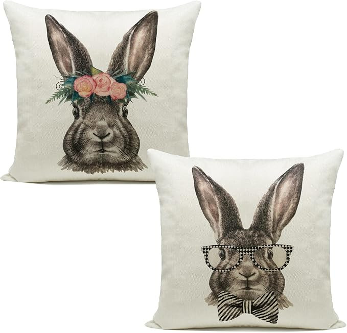 Hlonon Easter Decorations Throw Pillow Cover Set of 2 Farmhouse Decorative Pillows Rabbits Home D... | Amazon (US)