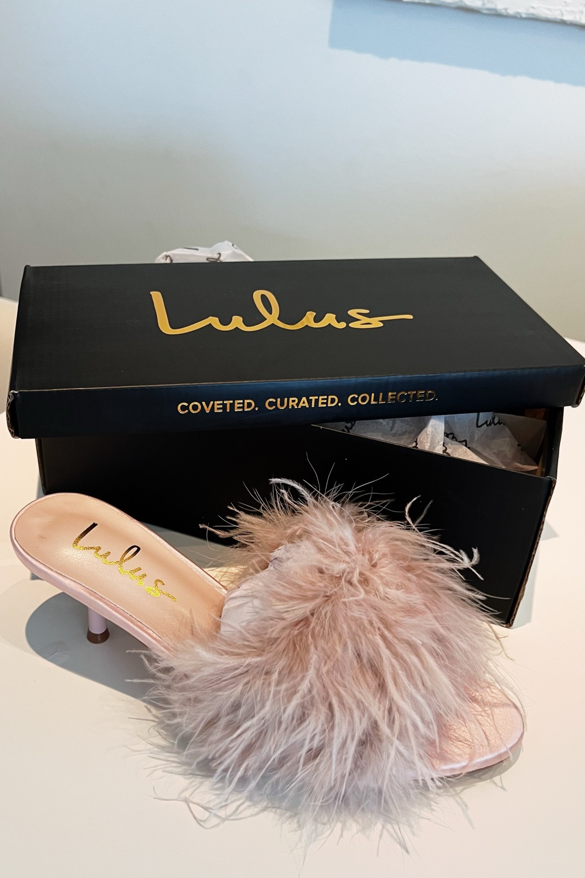 Are you KIDDING me with these feather heels?? These are perfect for Valentine’s Day or any upcoming spring events 

#LTKStyleTip #LTKFindsUnder50
