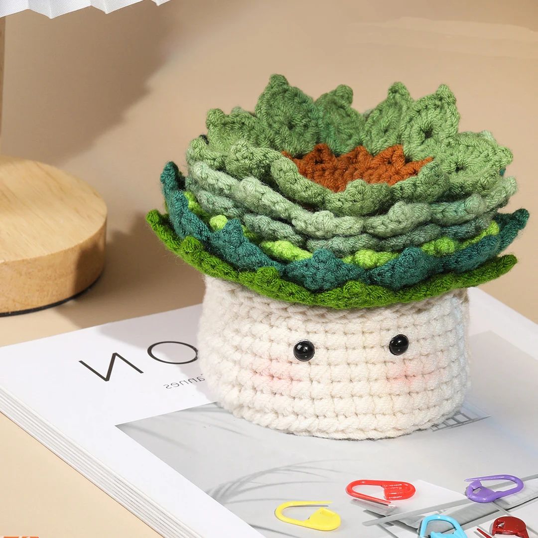 DIY Crochet Succulent Plants Coasters Kit Crochet Starter - Etsy | Etsy (US)