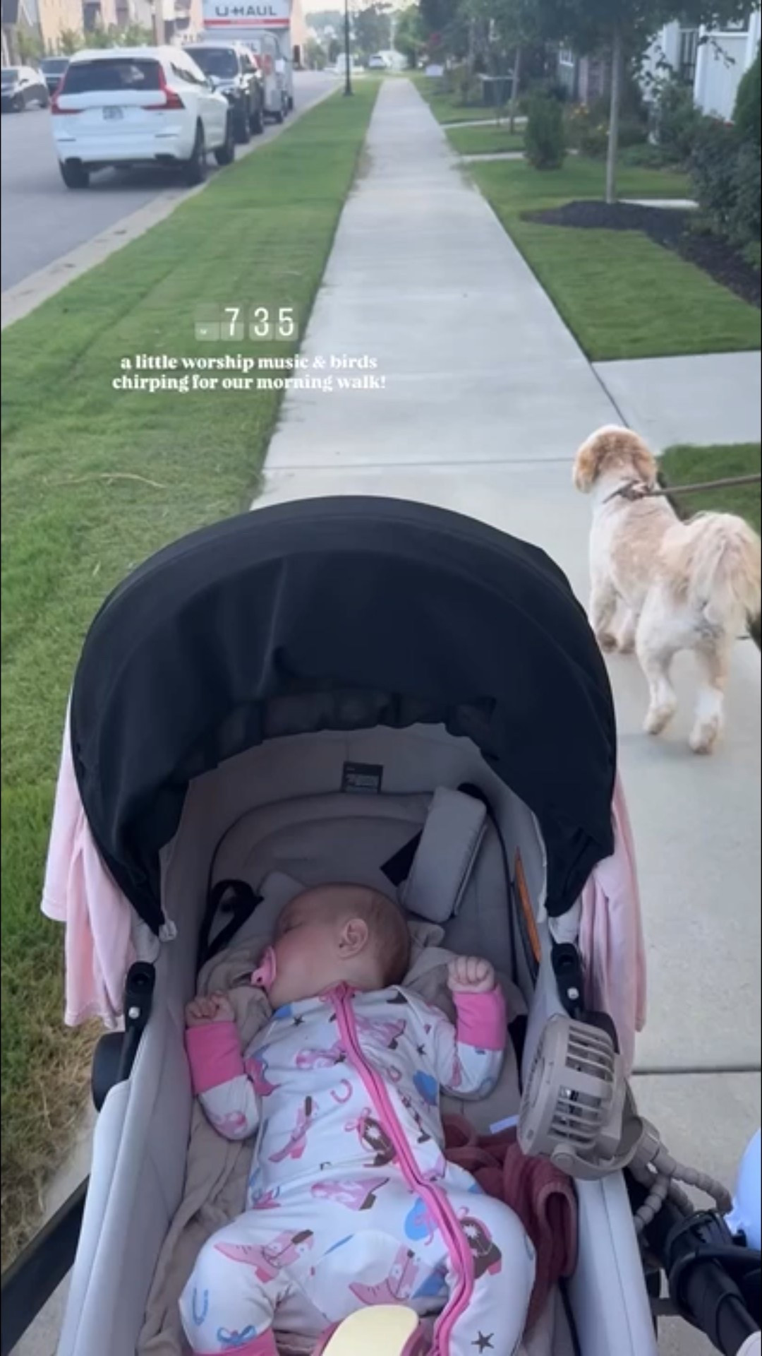 Linked some of my walking ESSENTIALS! Amazon, baby.

#LTKBaby #LTKFamily