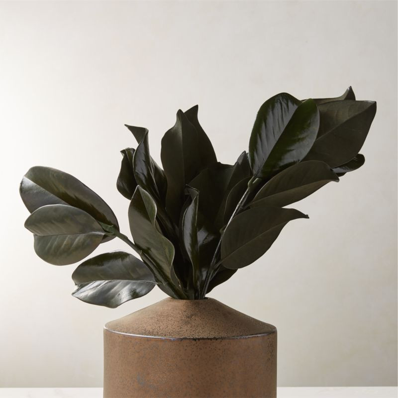 Preserved Magnolia Stems Set of 3 + Reviews | CB2 | CB2