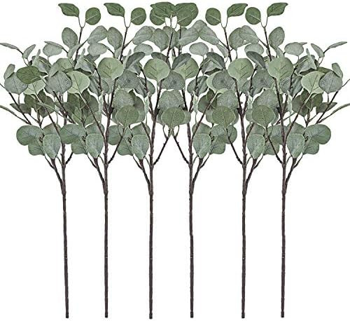 Artificial Greenery Stems 6 Pcs Straight Silver Dollar Eucalyptus Leaf Silk Greenery Bushes Plast... | Amazon (CA)