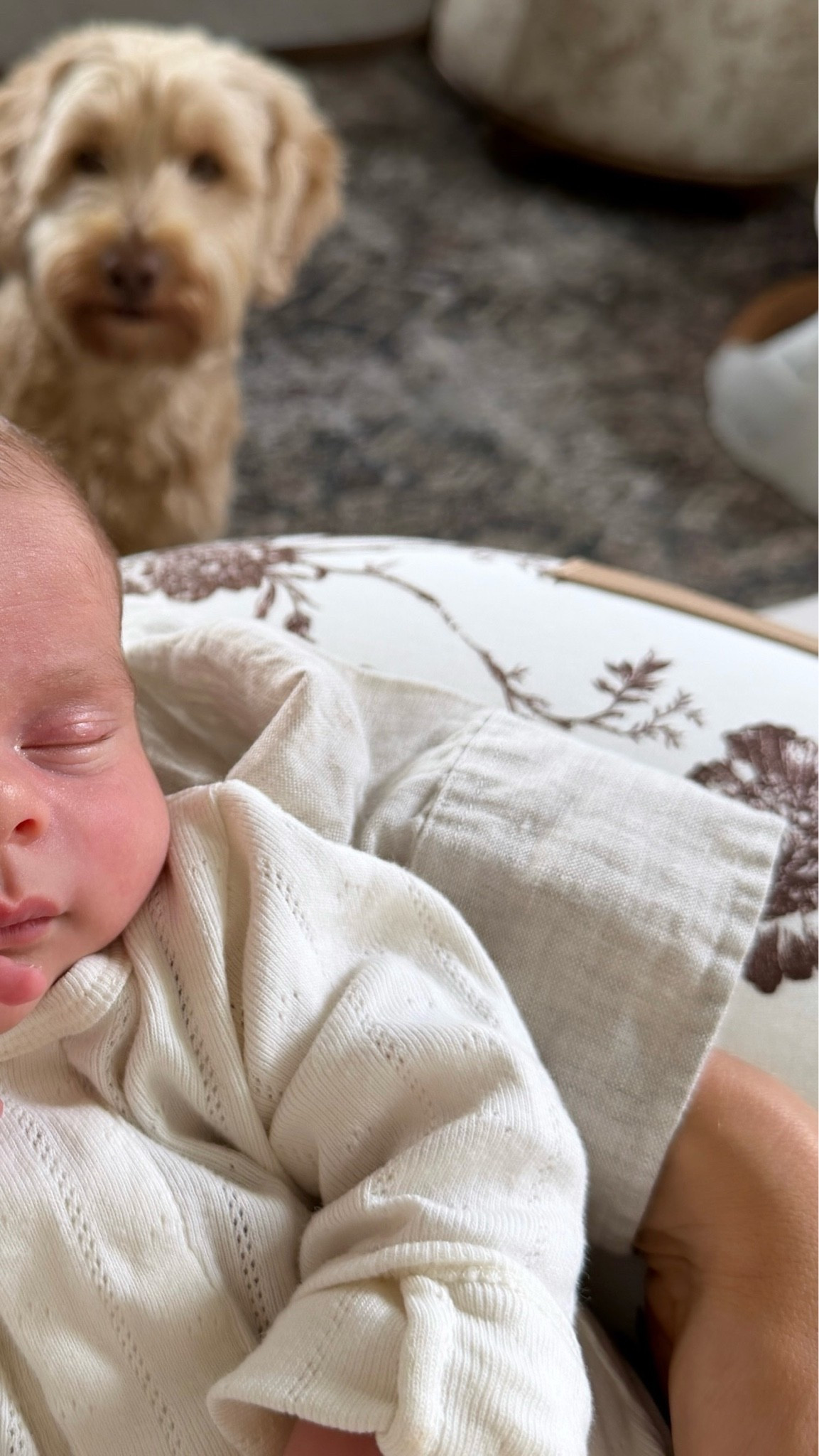 SIZE: med in top! #kathleenpost

Postpartum look, newborn baby

#LTKmomlife #LTKBaby