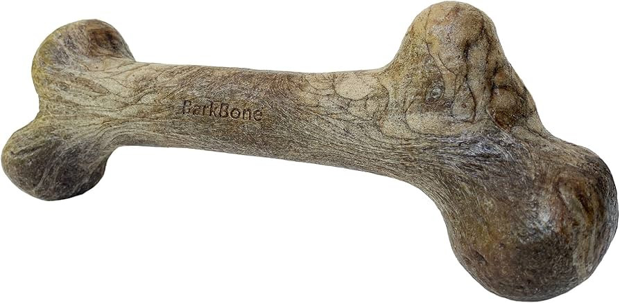 Pet Qwerks Dinosaur BarkBone - Nylon Dog Bone for Aggressive Chewers - Steak Flavor - 8.5" | Amazon (US)
