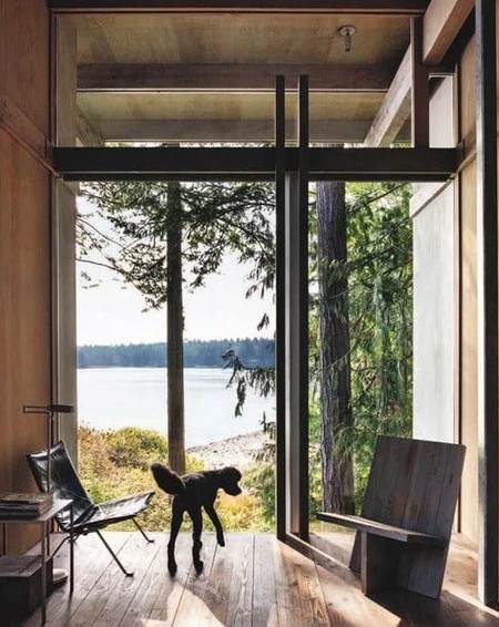 RESIDENT DOG | Off-White Palette