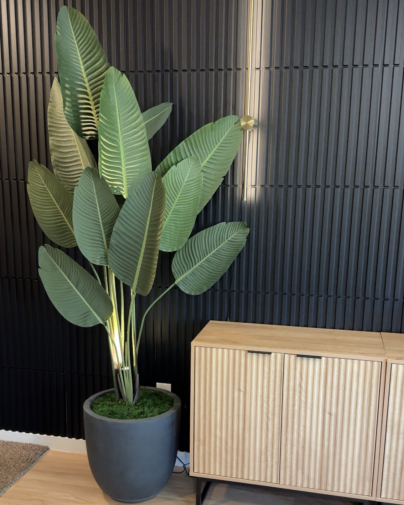 Birds of paradise 6ft faux plants 🌱 these look great fanned out or condensed. Sharing the sconces,panels, and planter pots with faux grass filler and lights as well!


.
.
.
.
#home #fauxplants #planters #birdsofparadiseplant #diningroom #amazonhome #diningroomstyling 

#LTKHome #LTKStyleTip #LTKFindsUnder100