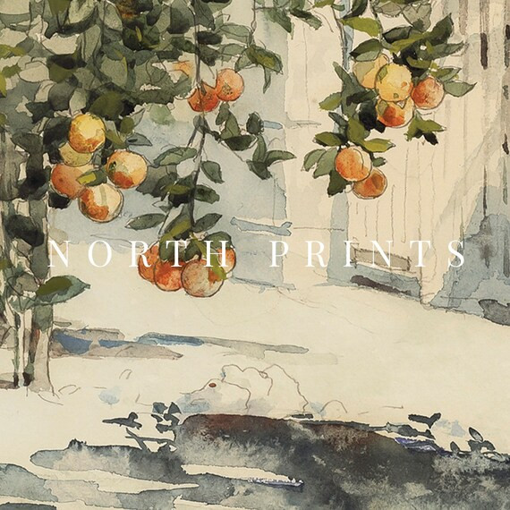 Spanish Kitchen Decor  Orange Tree Vintage Watercolor  | Etsy | Etsy (US)