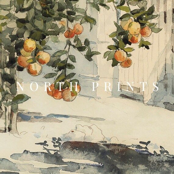 Spanish Kitchen Decor  Orange Tree Vintage Watercolor  | Etsy | Etsy (US)
