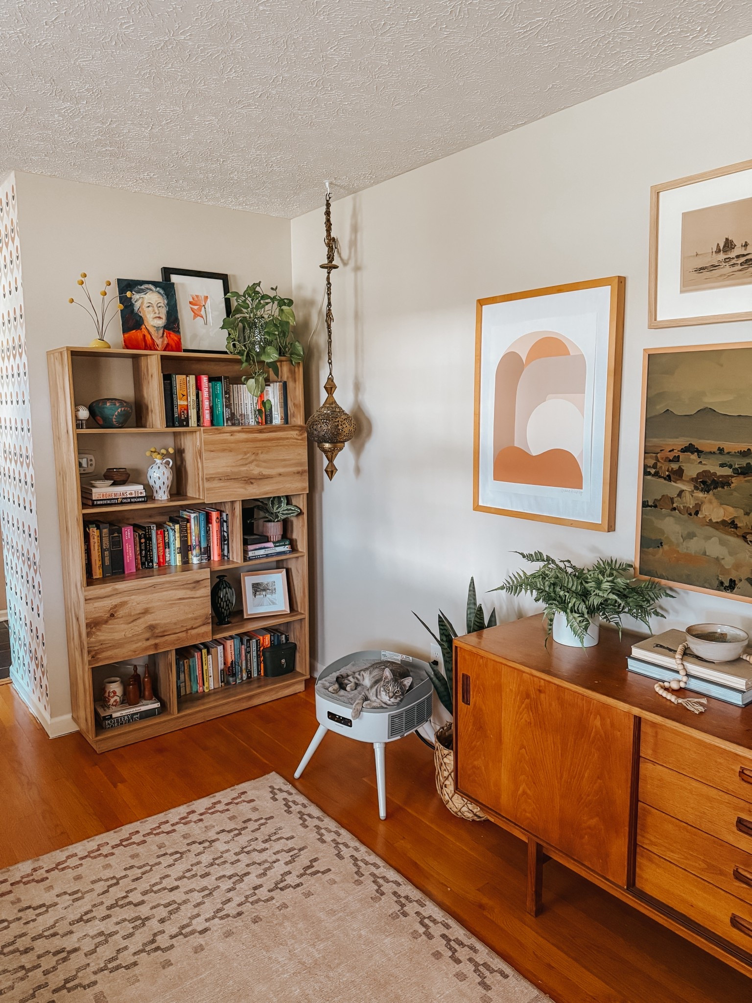 A space heater that doubles as a cat bed?! Count us IN 🐾🐾🐾 Shop the heater here along with other pet favorites.

#LTKHome #LTKPets