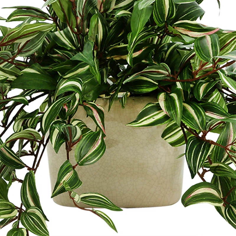 Karas Faux Tradescantia Plant in Ceramic Vase | Wayfair North America