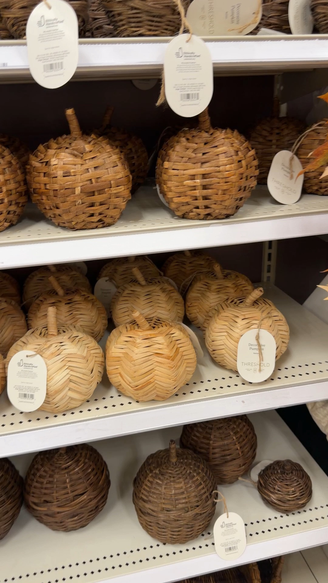 Target Tuesday 🎃🤎

Rattan pumpkins are such a pretty way to add a little fall without going full pumpkin patch. 🍂 They have that natural, neutral look that works with just about any fall decor.

These would be so cute on a table, shelf, or front porch!

@Target