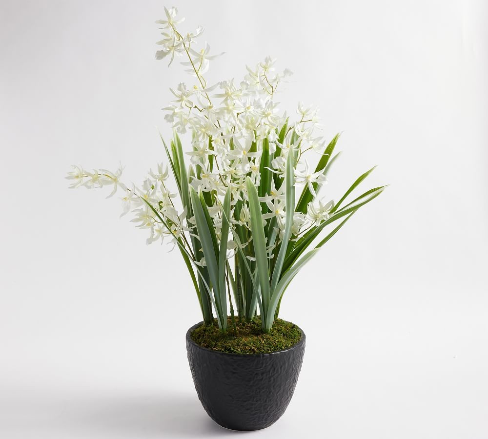 Faux Jasmine Composed Centerpiece | Pottery Barn (US)