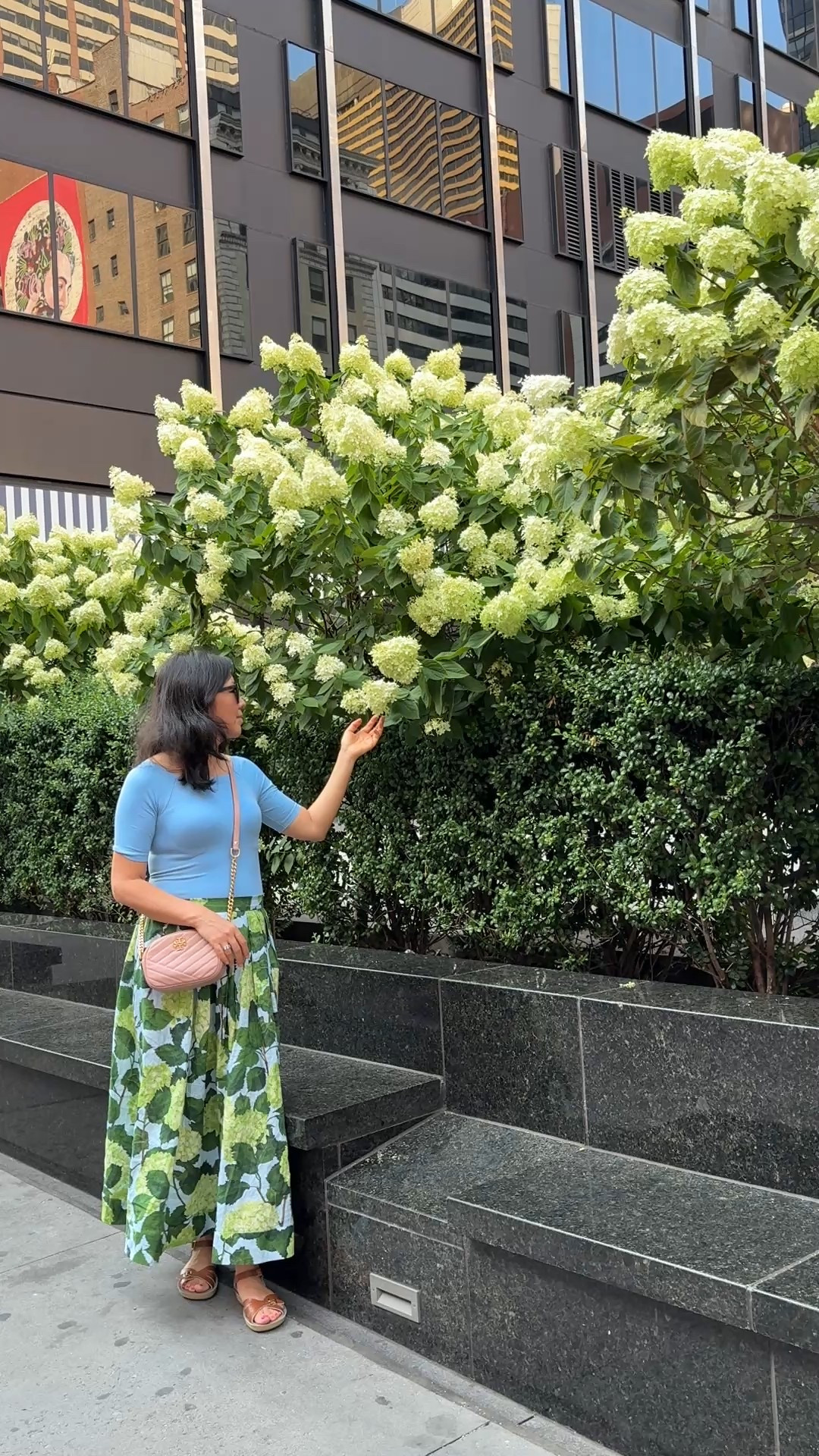 Another day, another hydrangea outfit 😊