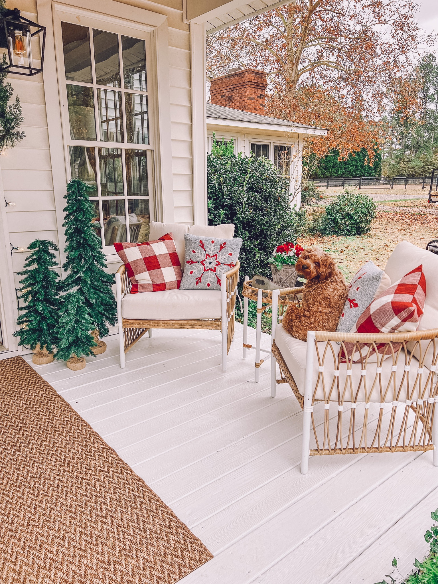 I love a mix of red and light blue for Christmas! 🩷 even more though, I like budget friendly decor! 😉

#LTKHoliday #LTKSeasonal #LTKhome