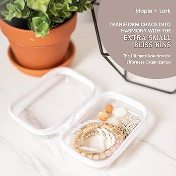 Maple & Lark Bliss Bins - Hard Sided Clear Zipper Case for Storage - Professional-Grade Plastic C... | Amazon (US)