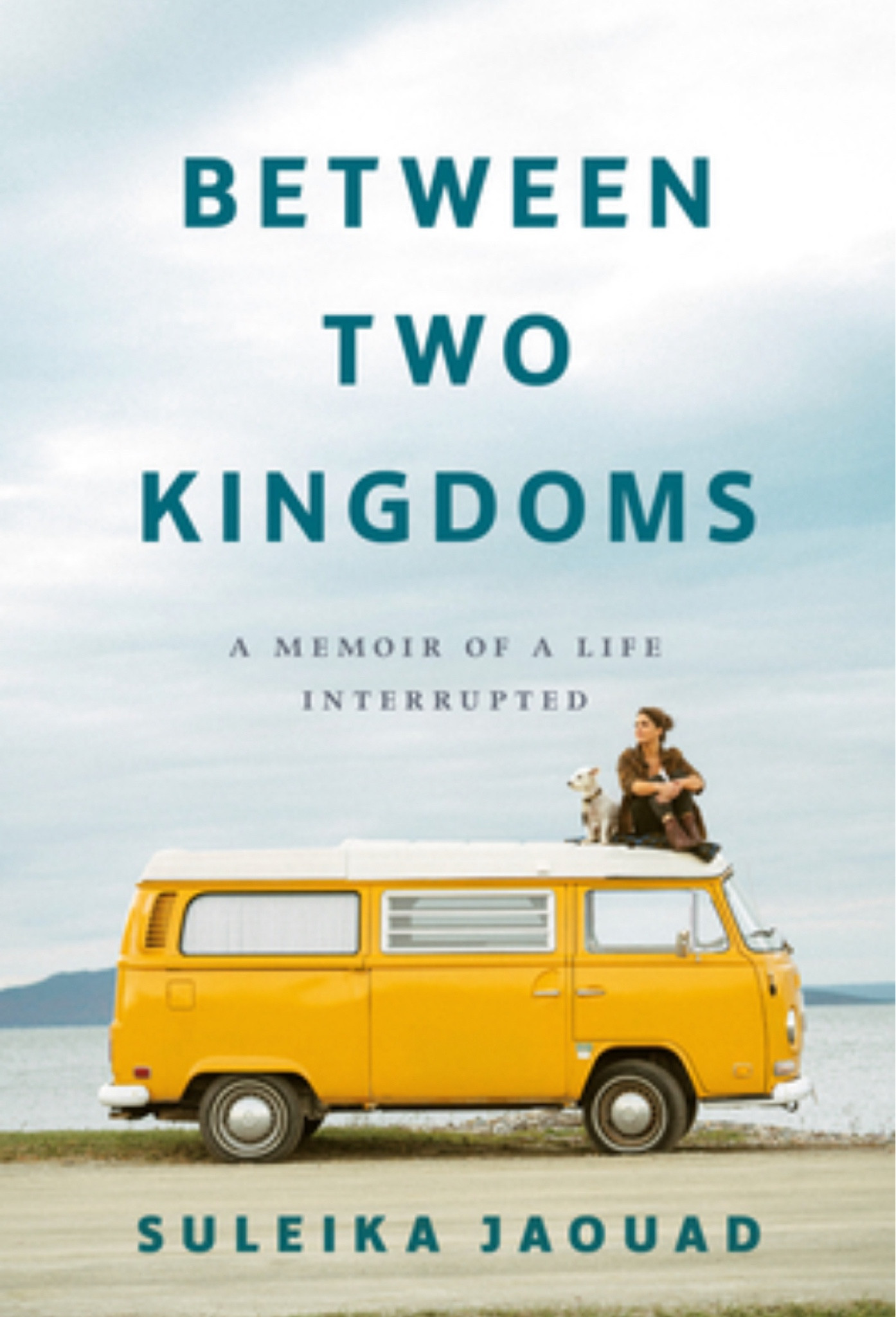Very well written book. This was heart wrenching at times. And very difficult to listen to at times. If you know someone battling cancer trigger warnings for what happens to the body when undergoing chemo but also a good read for both a victim and a caretaker. 

#LTKOver40 #LTKGiftGuide