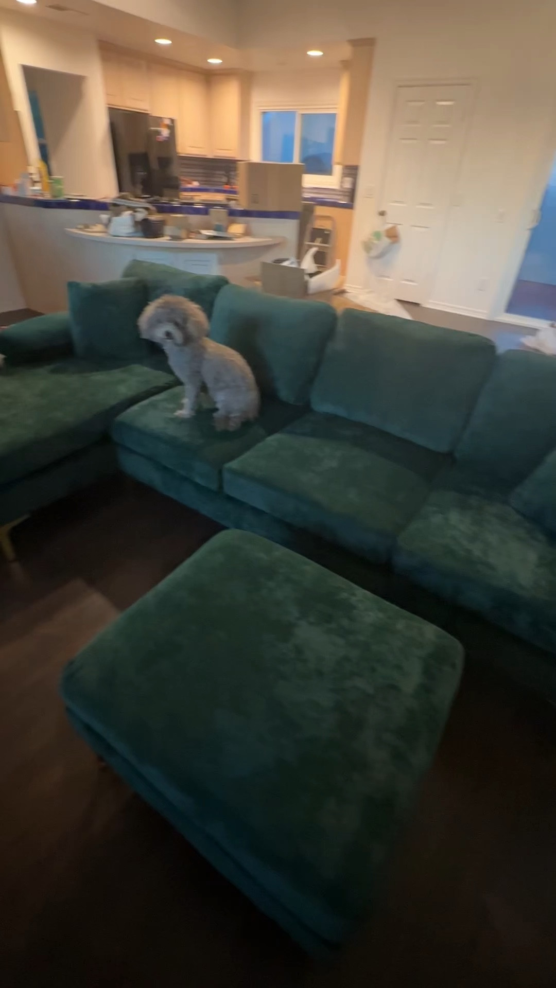 Pros:
- Firm but comfortable couch
- Easy enough to assemble
- Beautiful color options and the fabric is soft
- Cushion covers are machine washable

Cons:
- Velcro holds the cushions on 
- I can’t think of any more so I’ll have to report back

Amazon home finds, Amazon finds, Amazon furniture, Amazon home, furniture, sofa, couch 