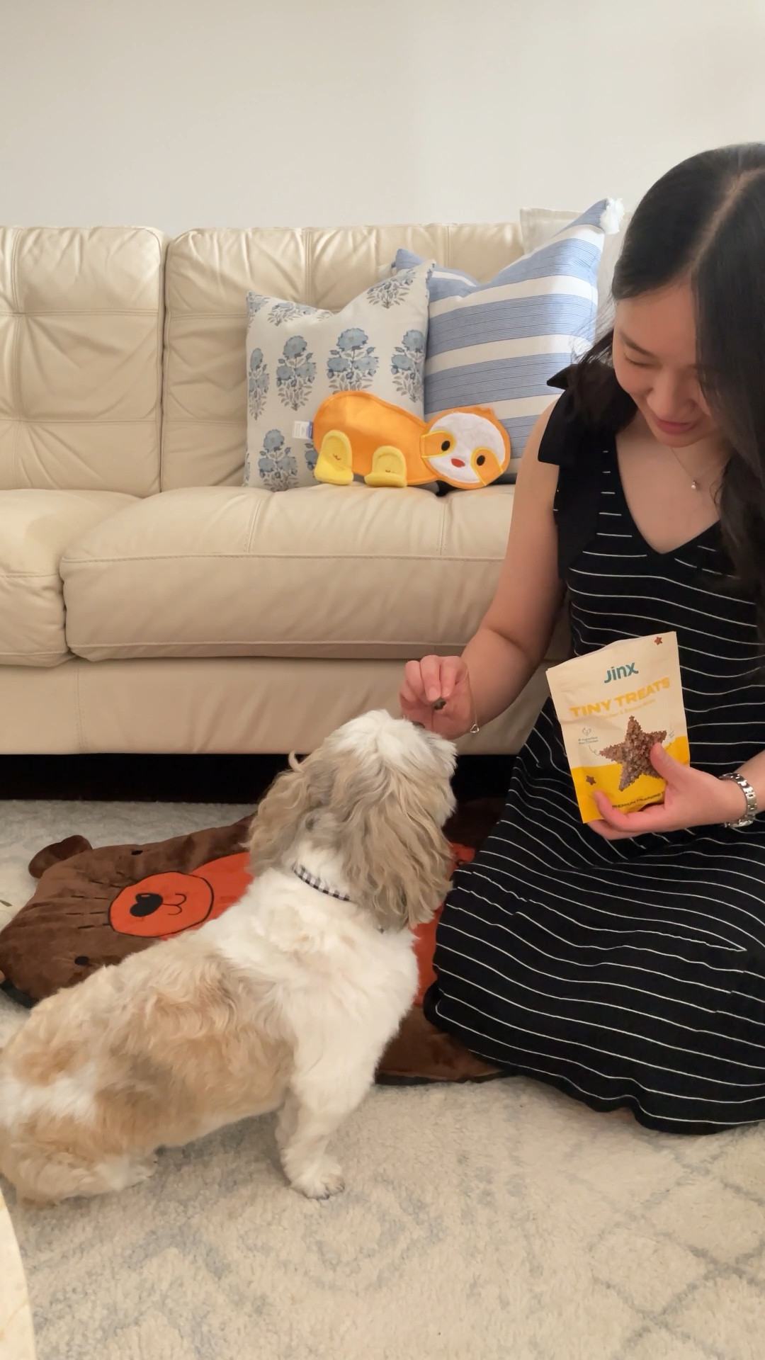 @walmart #Sponsored I was happy to find this low calorie (2 calories) and low protein chicken and banana flavored mini treat by Jinx. It's the perfect new treat for Ralphie since he has Chronic Kidney Disease and I can't give him too many treats. Treats account for 10% of his daily calories.

CKD Shih Tzu Dog Mom

#LTKunder50 #LTKunder100