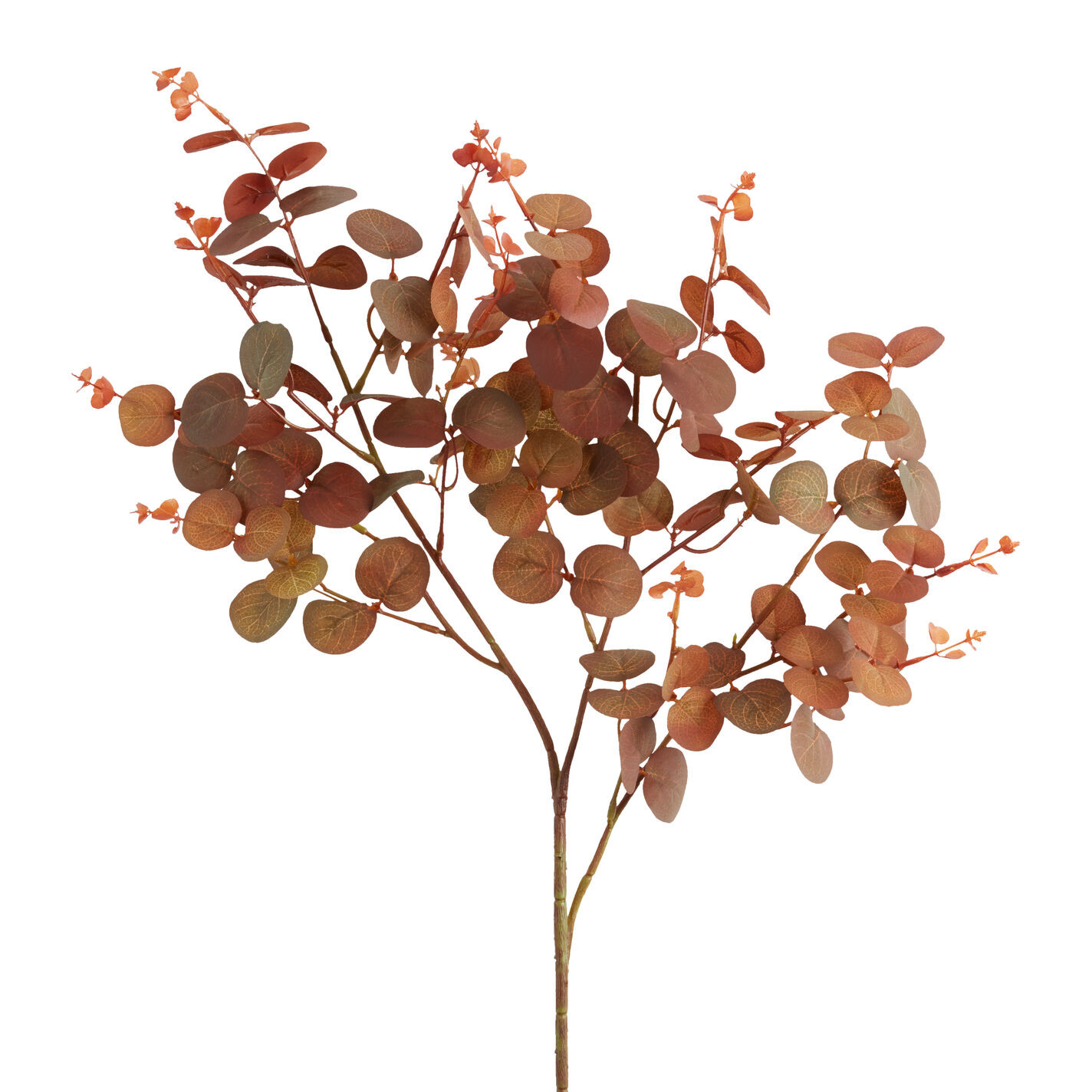 Faux Fall Eucalyptus Spray | World Market