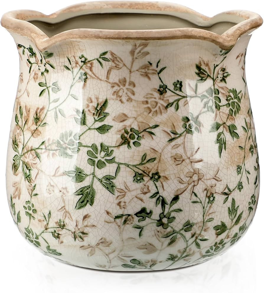 6 Inch Ceramic Plants Pots Vintage Ceramic Flower Planters Crackle Glaze Finish Flower Pots Decor... | Amazon (US)