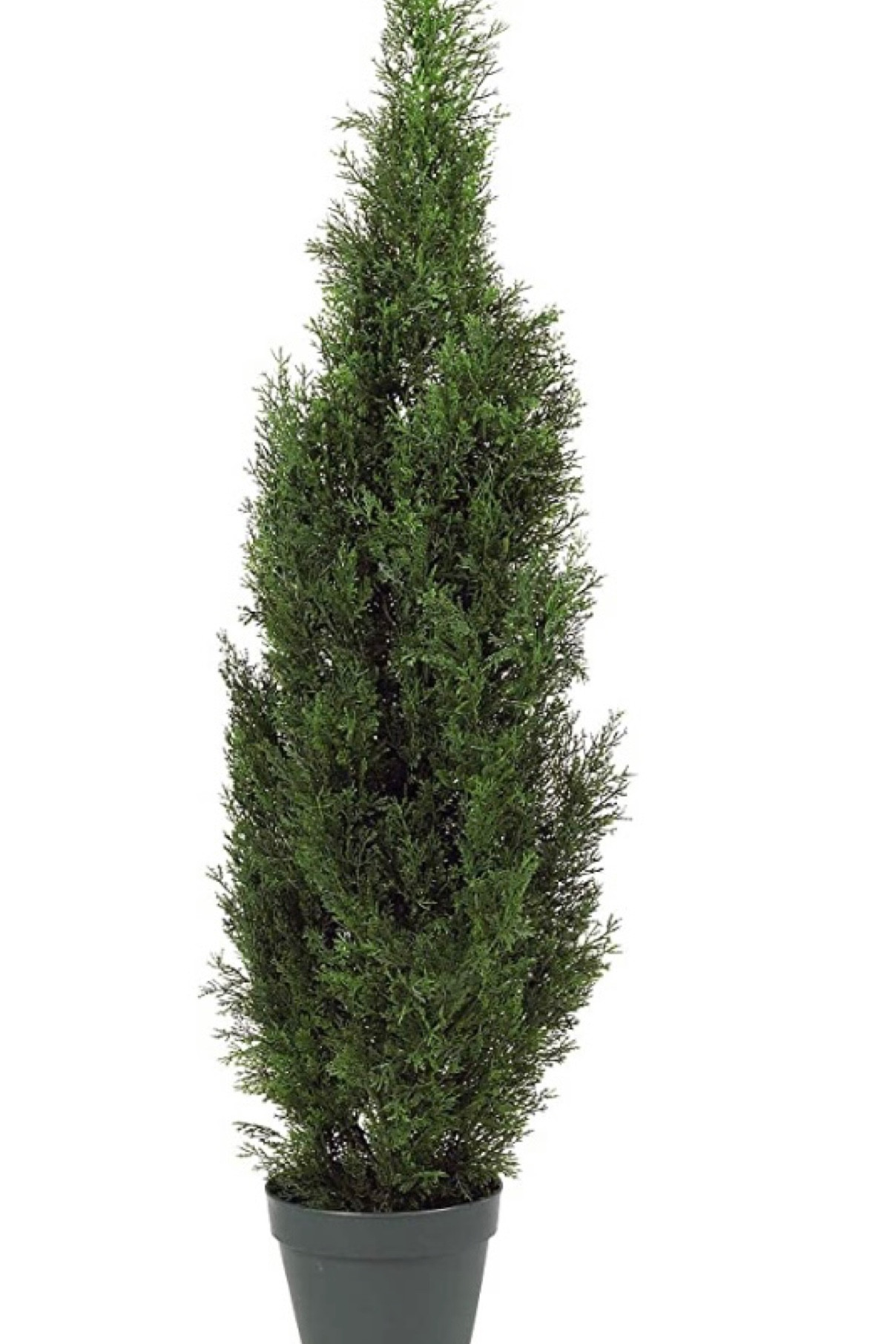 Faux cedar porch plants spring 

#LTKSeasonal #LTKunder100 #LTKhome