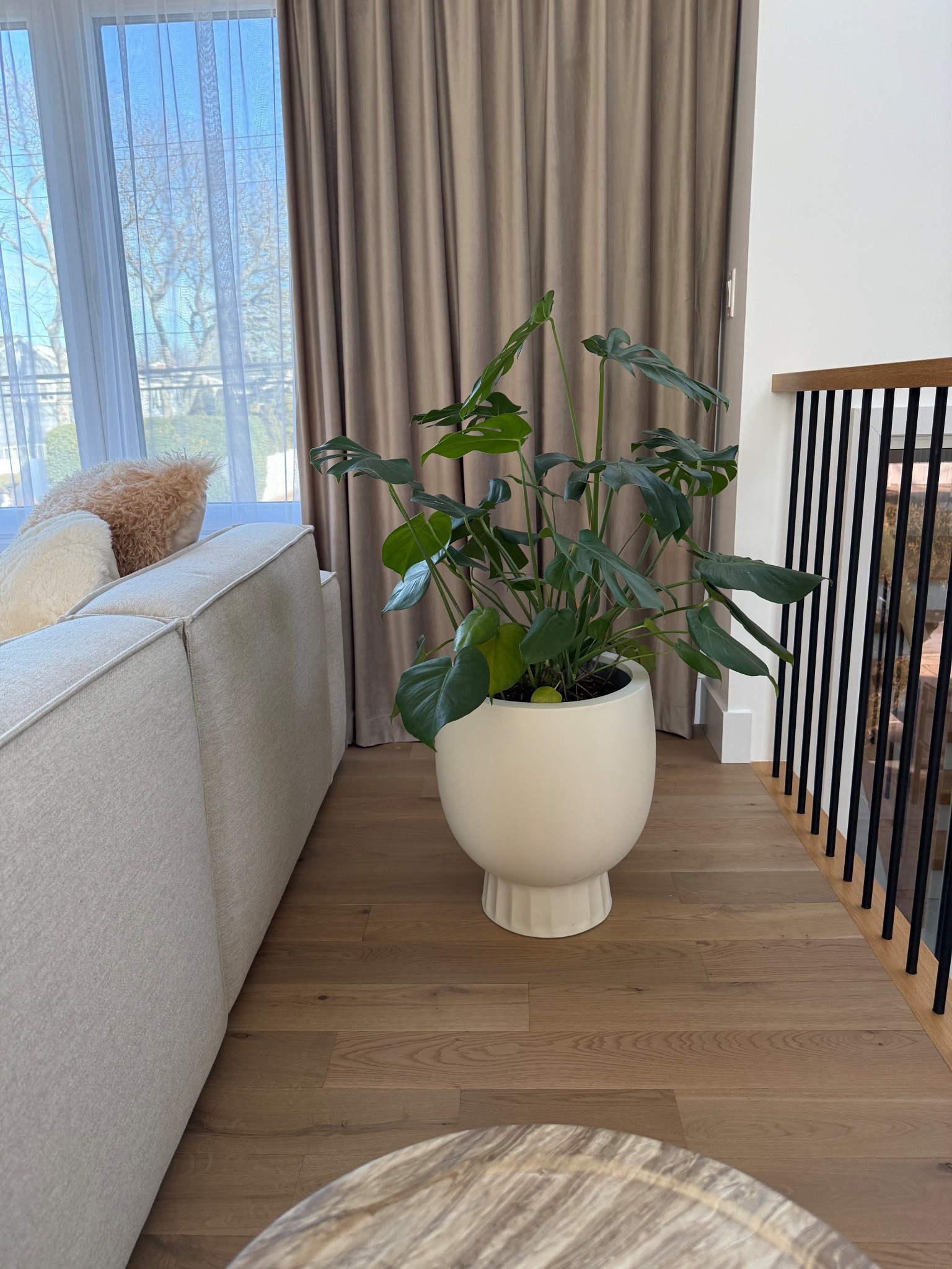 Modern planter ✨ if you would like to get a plant for your home I highly recommend getting a monstera, so pretty and very easy to maintain. Sharing my fav planter 🥰

#LTKHome #LTKSaleAlert #LTKstorytime