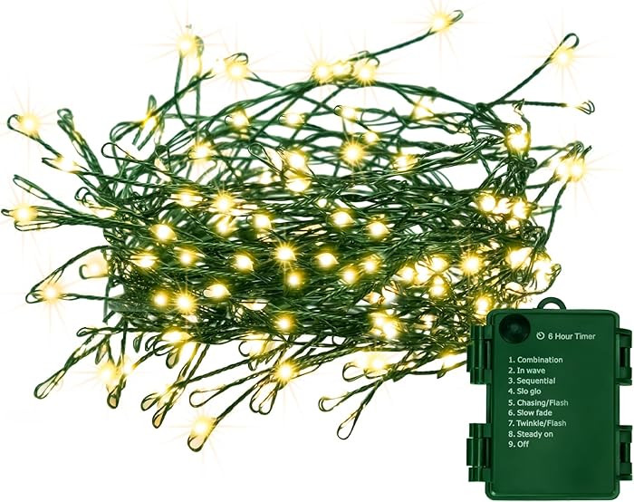 LED Christmas Fairy Lights | Amazon (US)