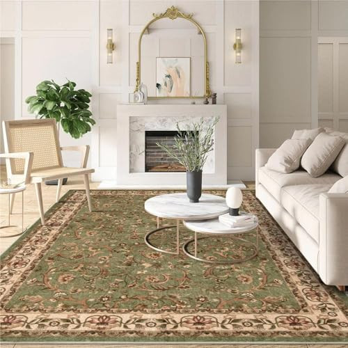 LIVEBOX Big Rug Carpet for Living Room, Soft 6x9 Washable Area Rug Living Room Rugs, Non-Slip Non-Shedding Olive Brown Green Vintage Rug for Dining Room | Amazon (US)