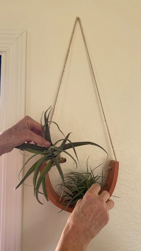 I’ve had this air plant cradle for over a year and it still looks great. I’m so pleased with the quality. Your tillandsias will love it too.  #planter #plants #homedecor #handmade #garden #planters #plant #pottery #gardening #flowers #plantsmakepeoplehappy #plantlover #succulents #ceramics #indoorplants #interiordesign #houseplants #pot #nature #pots #plantlife #home 

#LTKhome
