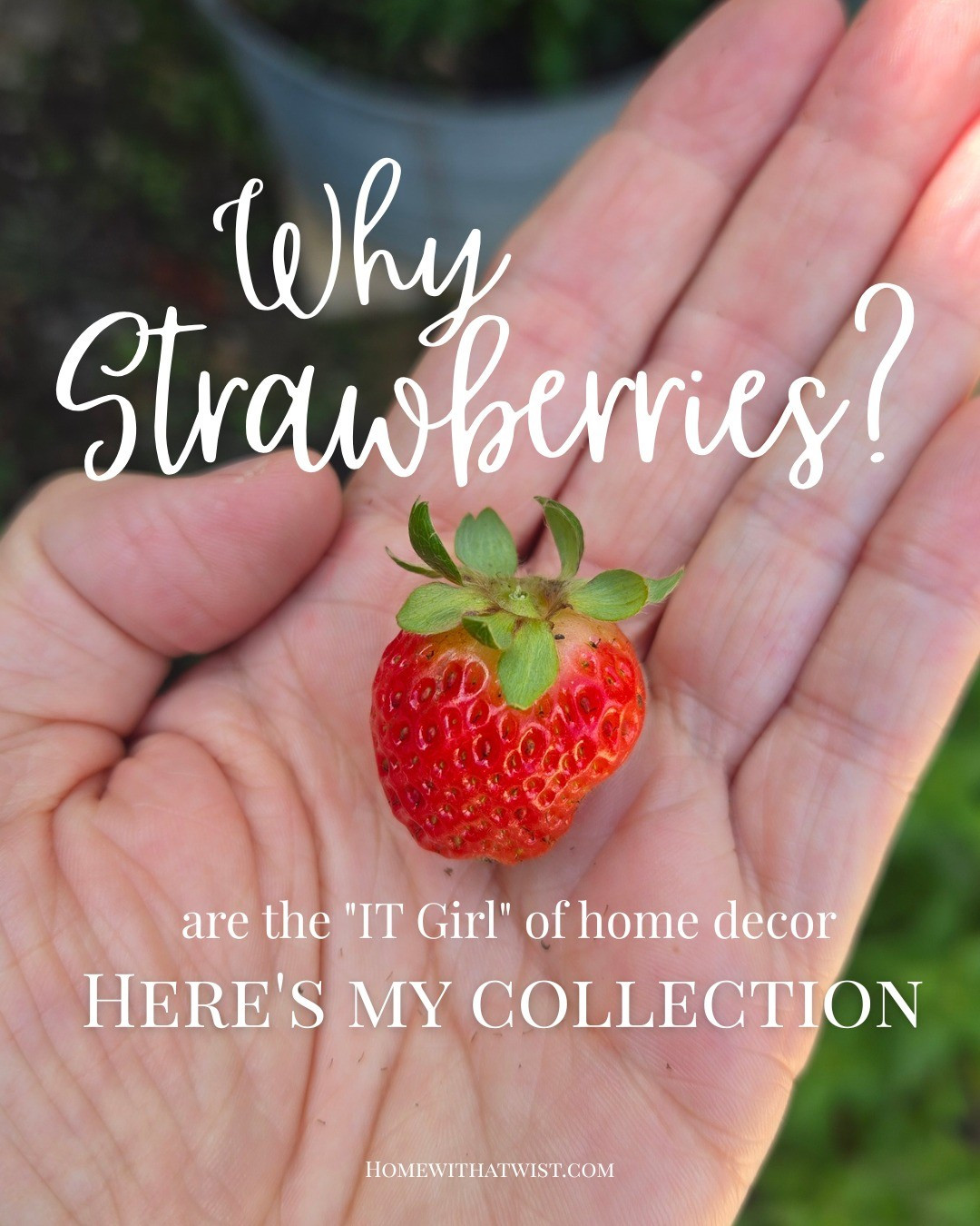 Strawberries are everywhere! I've rounded up the cutest in fashion and home decor fir the sweetest of summer's fruit!

#LTKmomlife #LTKSeasonal #LTKdayinmylife