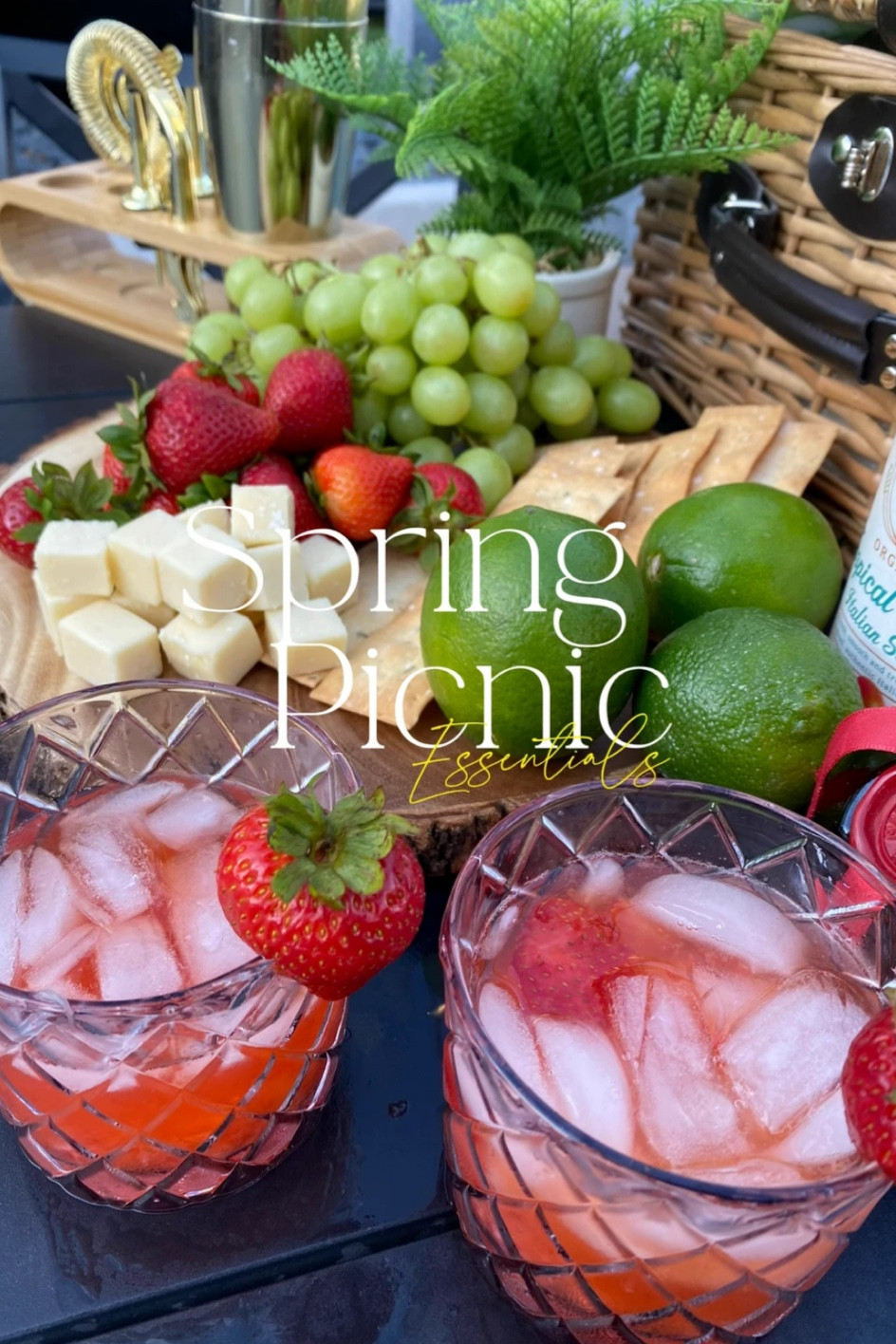 Spring Picnic Essentials

Picnic basket, cocktail set, glassware

#LTKhome #LTKFind #LTKstyletip