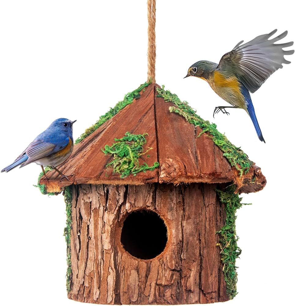 Cedar Bird House with Predator Guard, Round Hat Shape Hanging Birdhouse for Hummingbird, Bluebird... | Amazon (US)