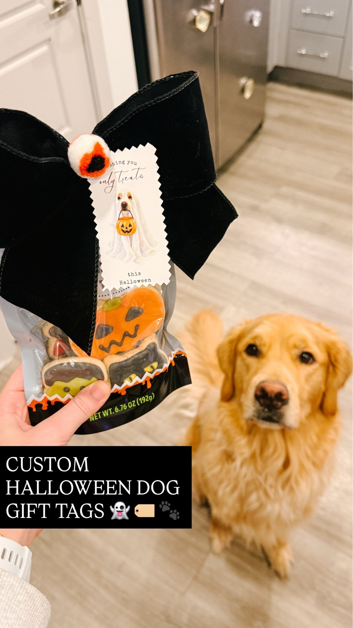Links for the supplies I used to put together the custom dog gift! The dog treats I grabbed at Trader Joe’s 

The canva template with the ChatGPT prompt & gift tag design is linked here: https://canva.link/20zgw51czk4akrm