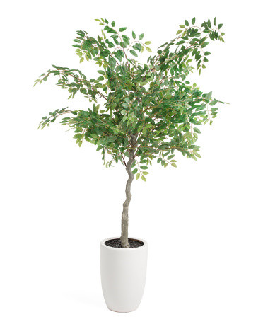 5ft Covered Outdoor Faux Weeping Fig Tree In Hand Made Ceramic Pot | Home Essentials | Marshalls | Marshalls