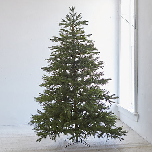 Faux Cottage Tree | Terrain