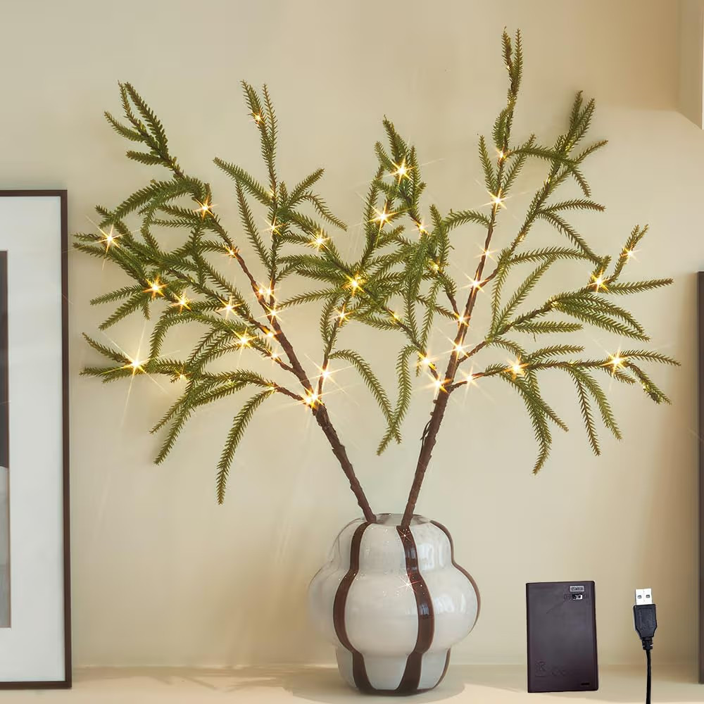 Lighted Norfolk Pine Branches 60 Fairy Lights with Timer, Tree Branches with Lights 32IN USB Plug... | Amazon (US)