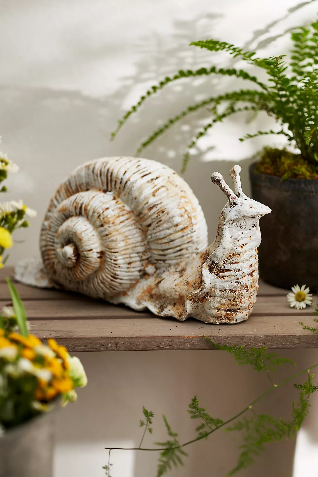 Cast Iron Snail | Anthropologie (US)
