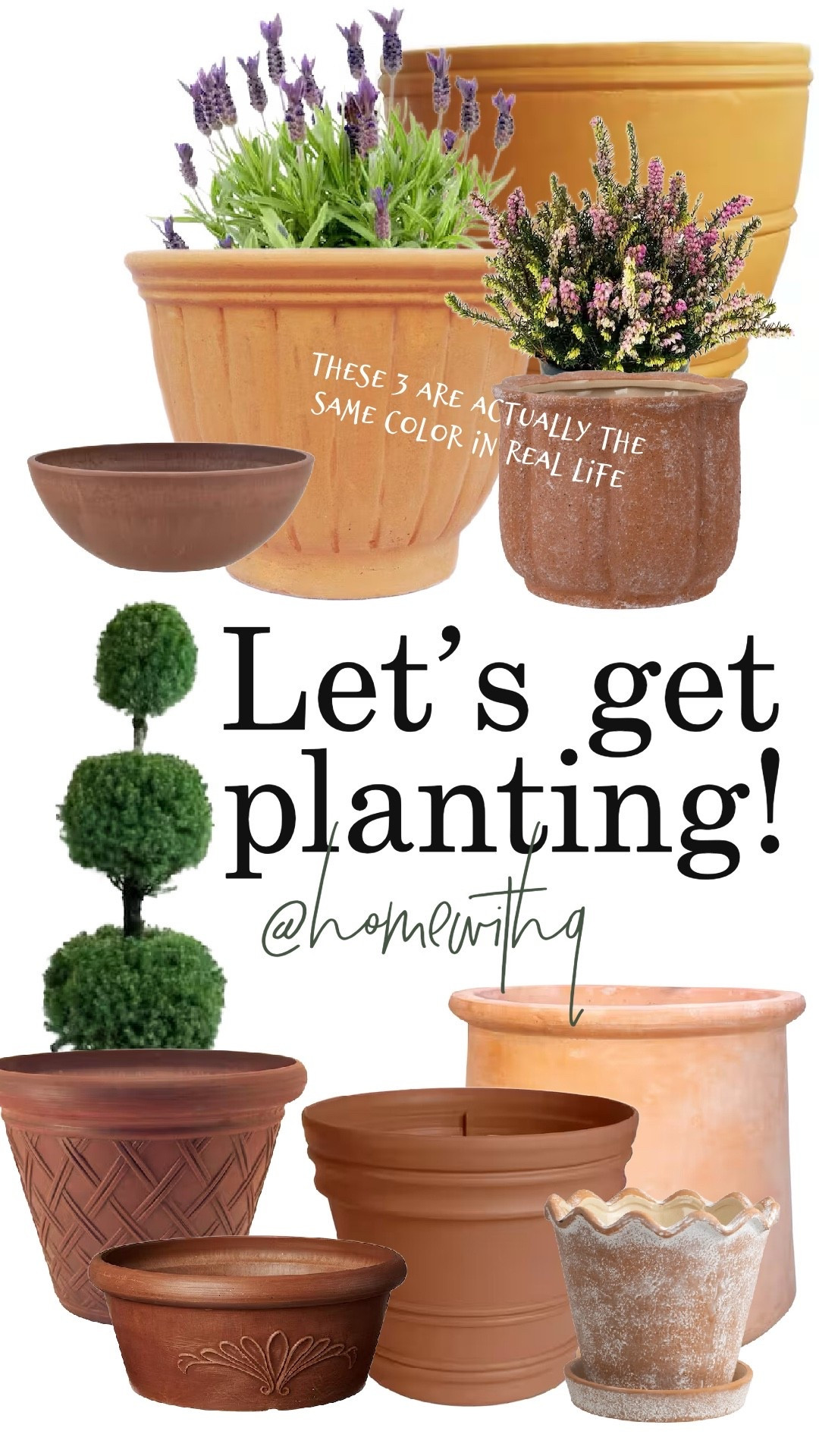 Freshen up your patios and porches with some cutie cute cute planters (and plants- a few that we’re using this year linked here)

#LTKSeasonal #LTKHome