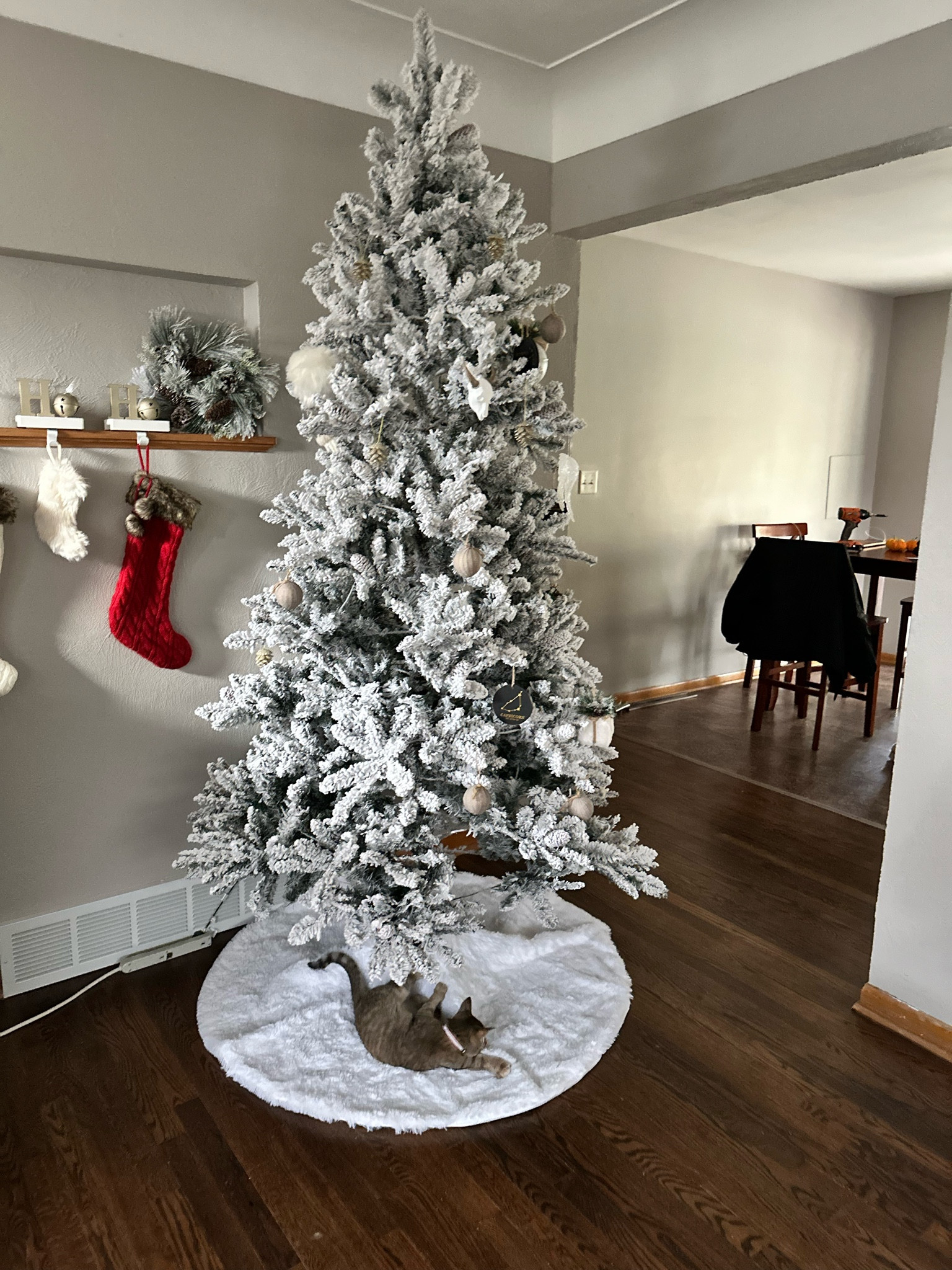 7.5 feet pre lit flocked Christmas tree 

#LTKhome #LTKSeasonal #LTKHolidaySale